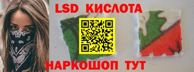 шишки Камышлов