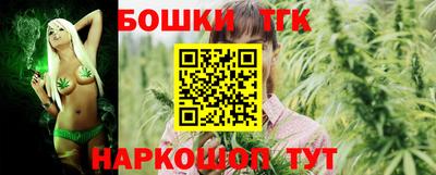 шишки Камышлов