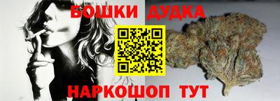 шишки Камышлов