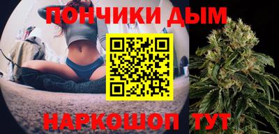шишки Камышлов