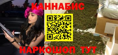 шишки Камышлов